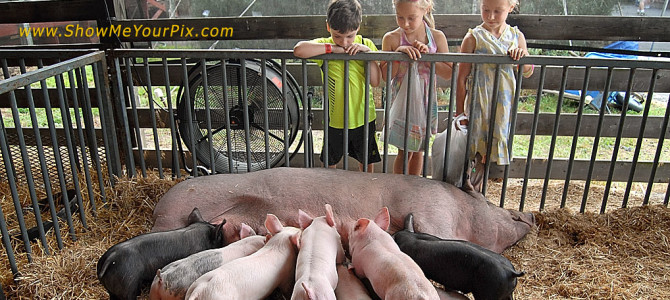 Schuylkill County Fair Celebrates 30th Year